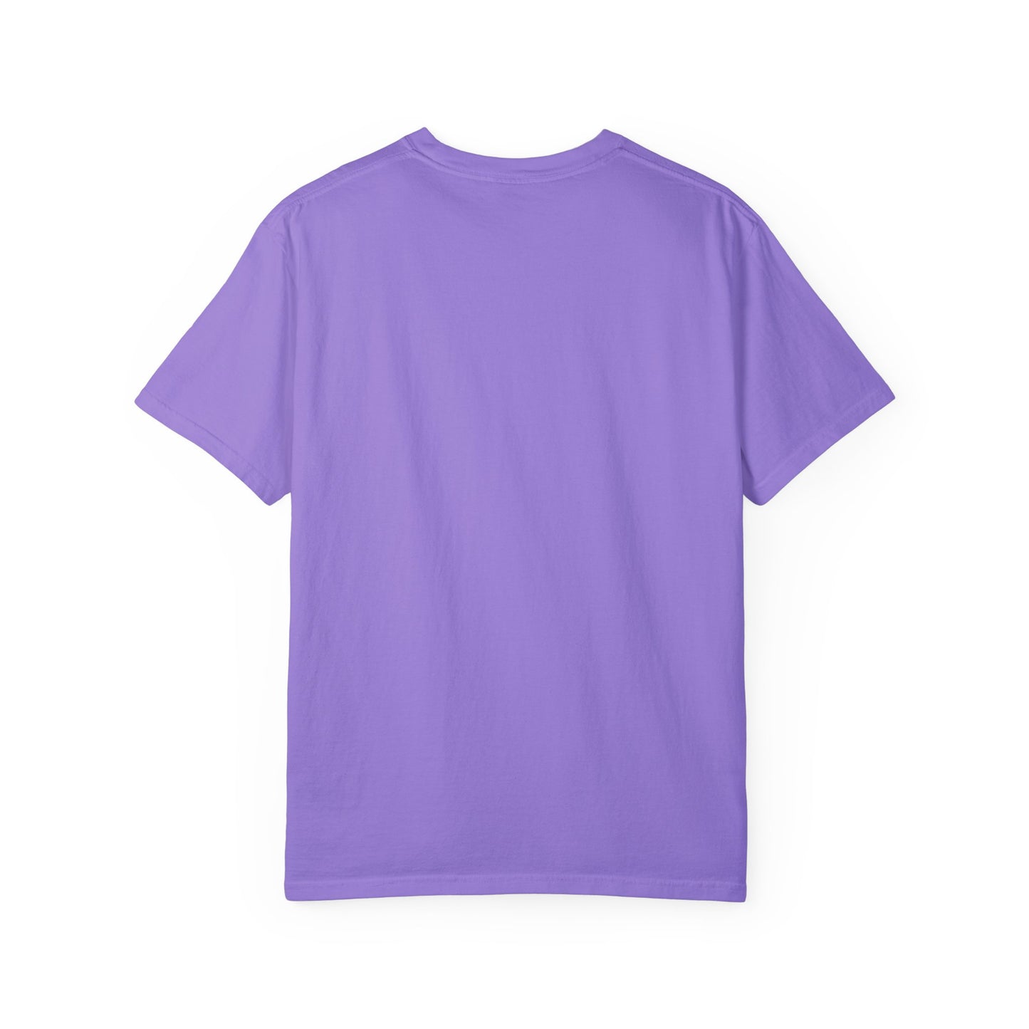Unisex Garment-Dyed T-Shirt - "Decolonize the Anti-Violence Movement"