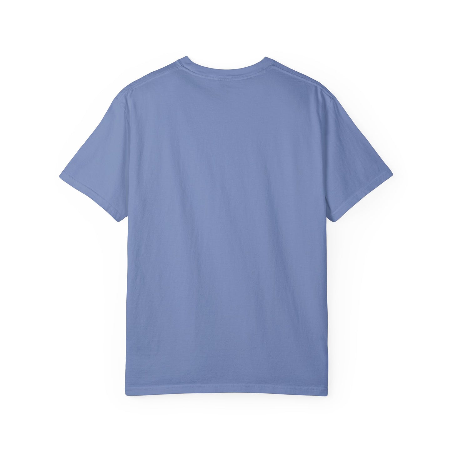 Unisex Garment-Dyed T-Shirt - "Decolonize the Anti-Violence Movement"