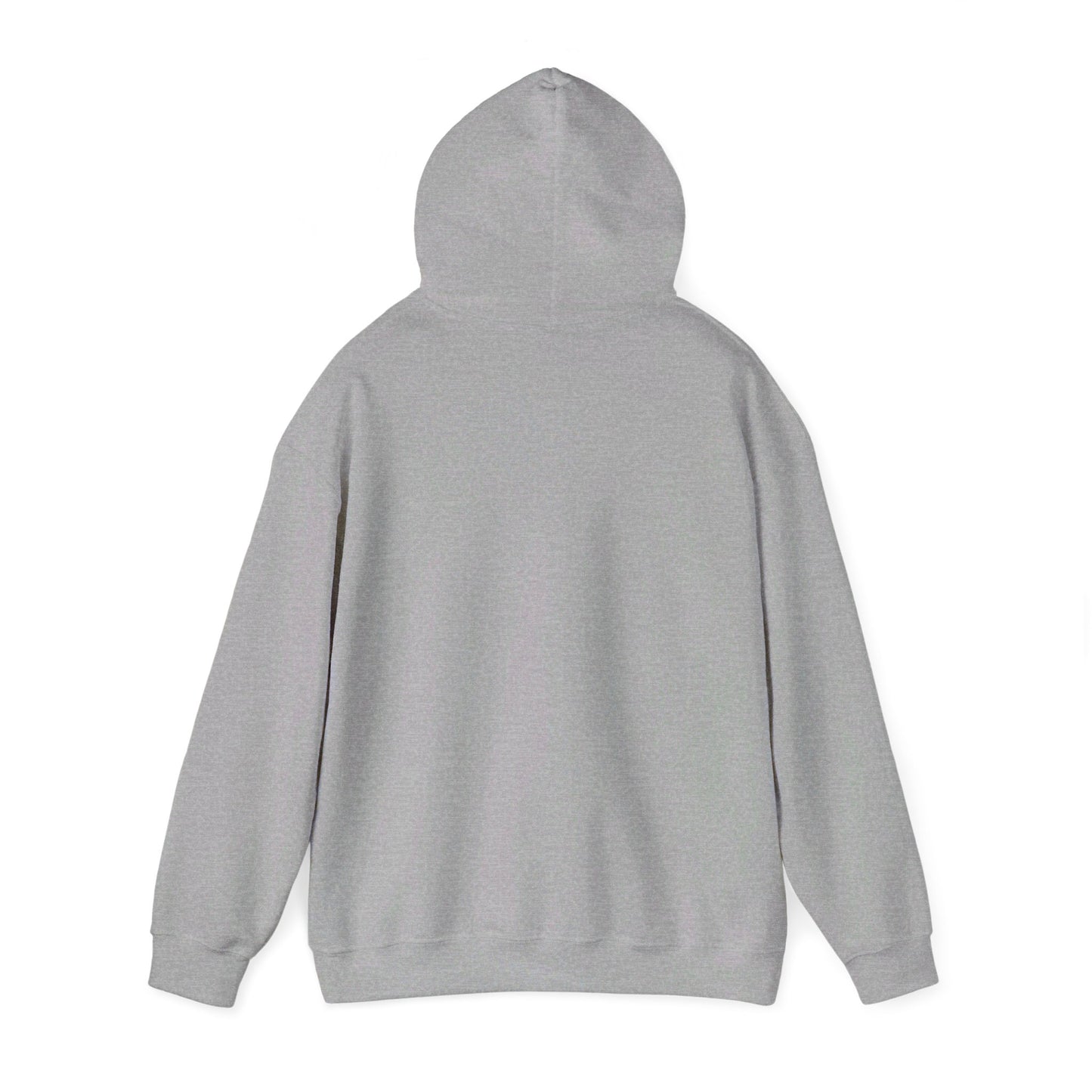 Decolonize - Unisex Heavy Blend™ Hooded Sweatshirt