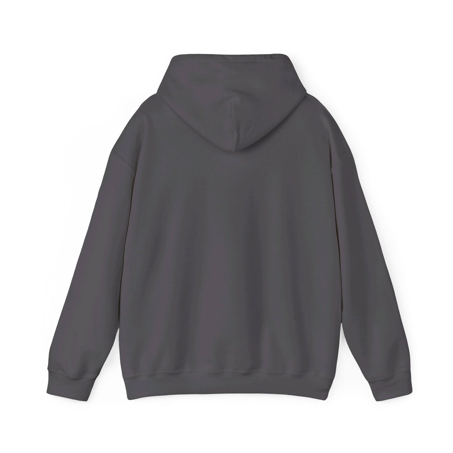 Decolonize - Unisex Heavy Blend™ Hooded Sweatshirt