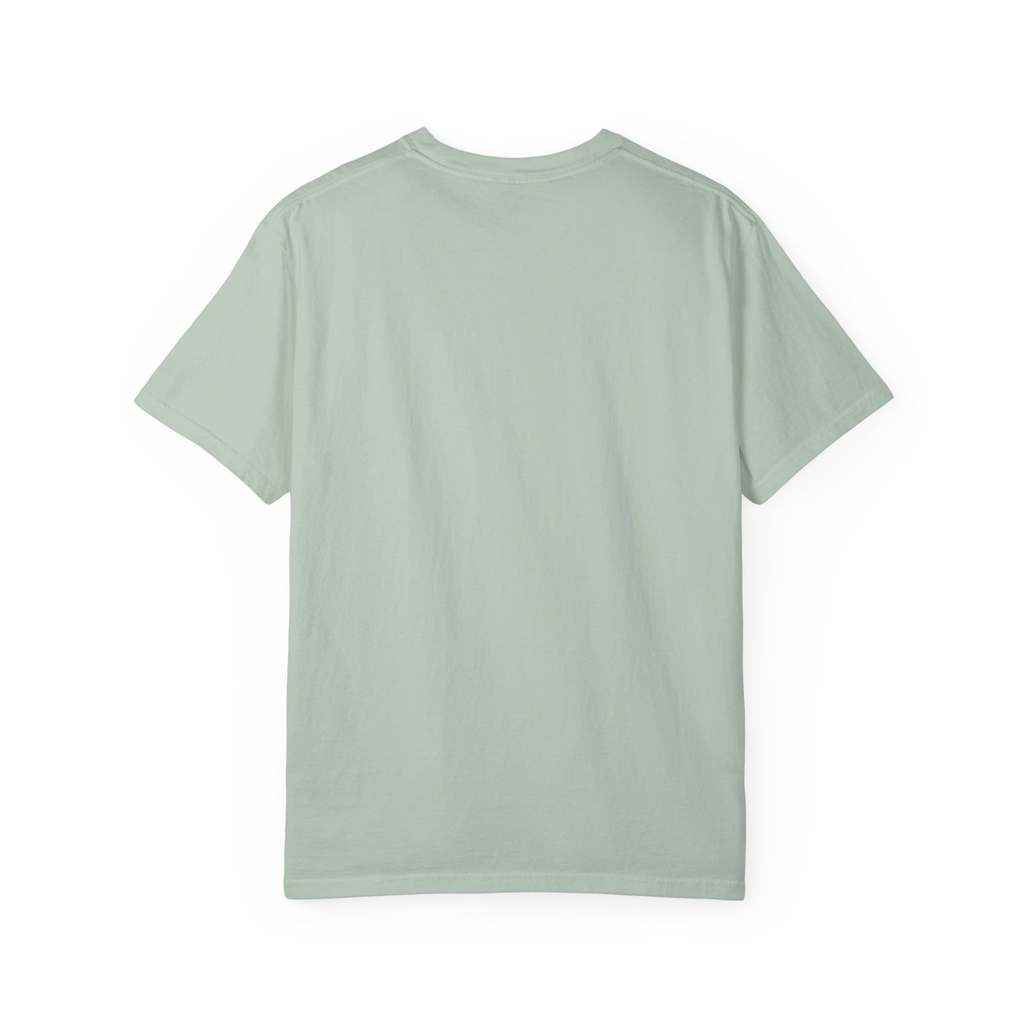 Unisex Garment-Dyed T-Shirt - "Decolonize the Anti-Violence Movement"