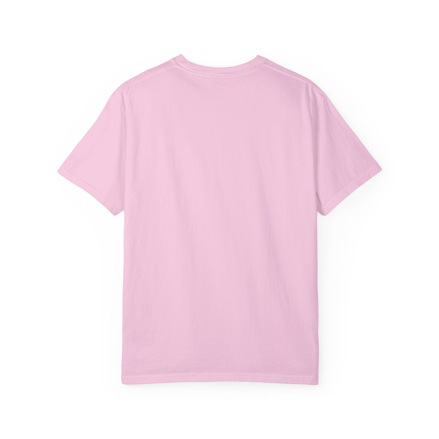 Unisex Garment-Dyed T-Shirt - "Decolonize the Anti-Violence Movement"