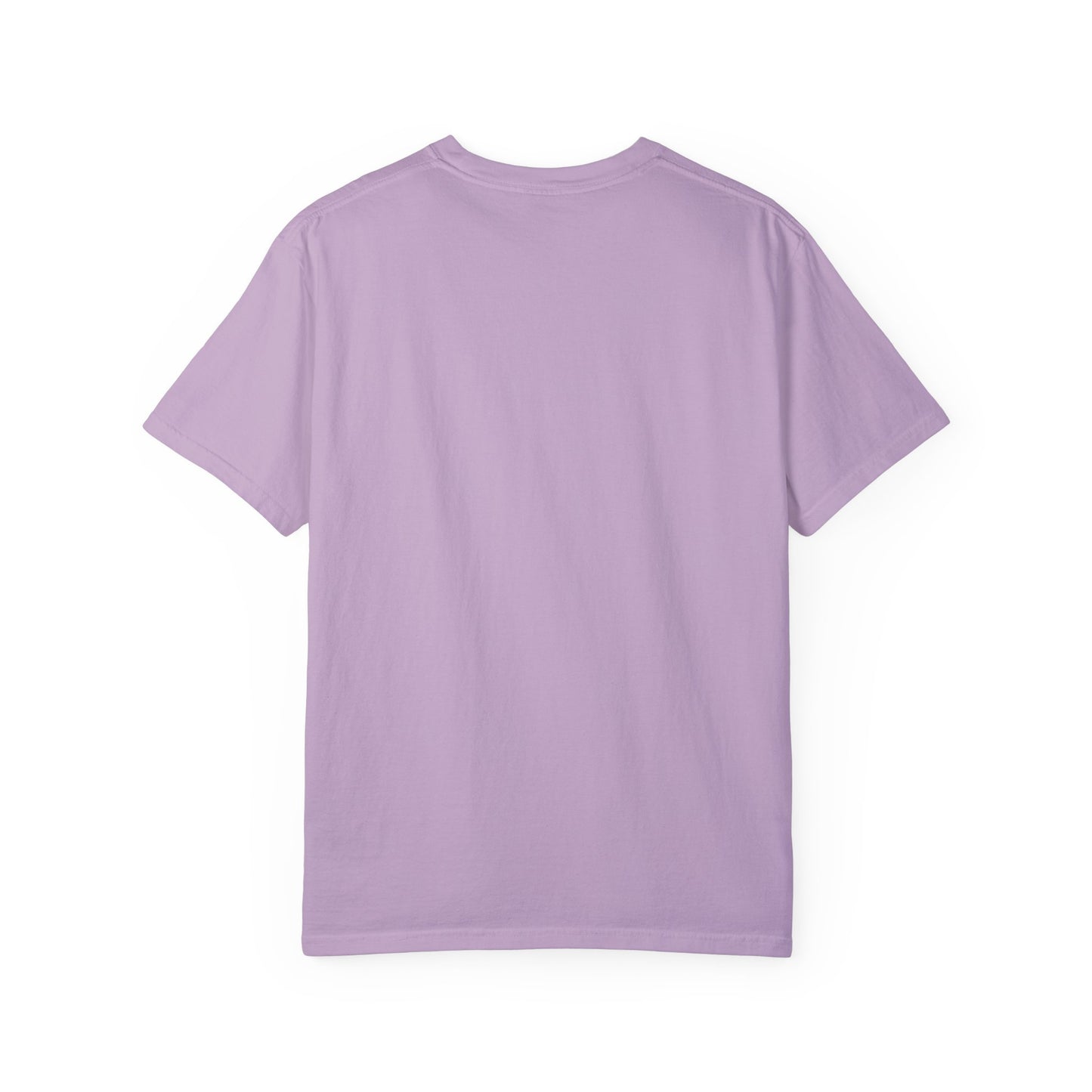 Unisex Garment-Dyed T-Shirt - "Decolonize the Anti-Violence Movement"