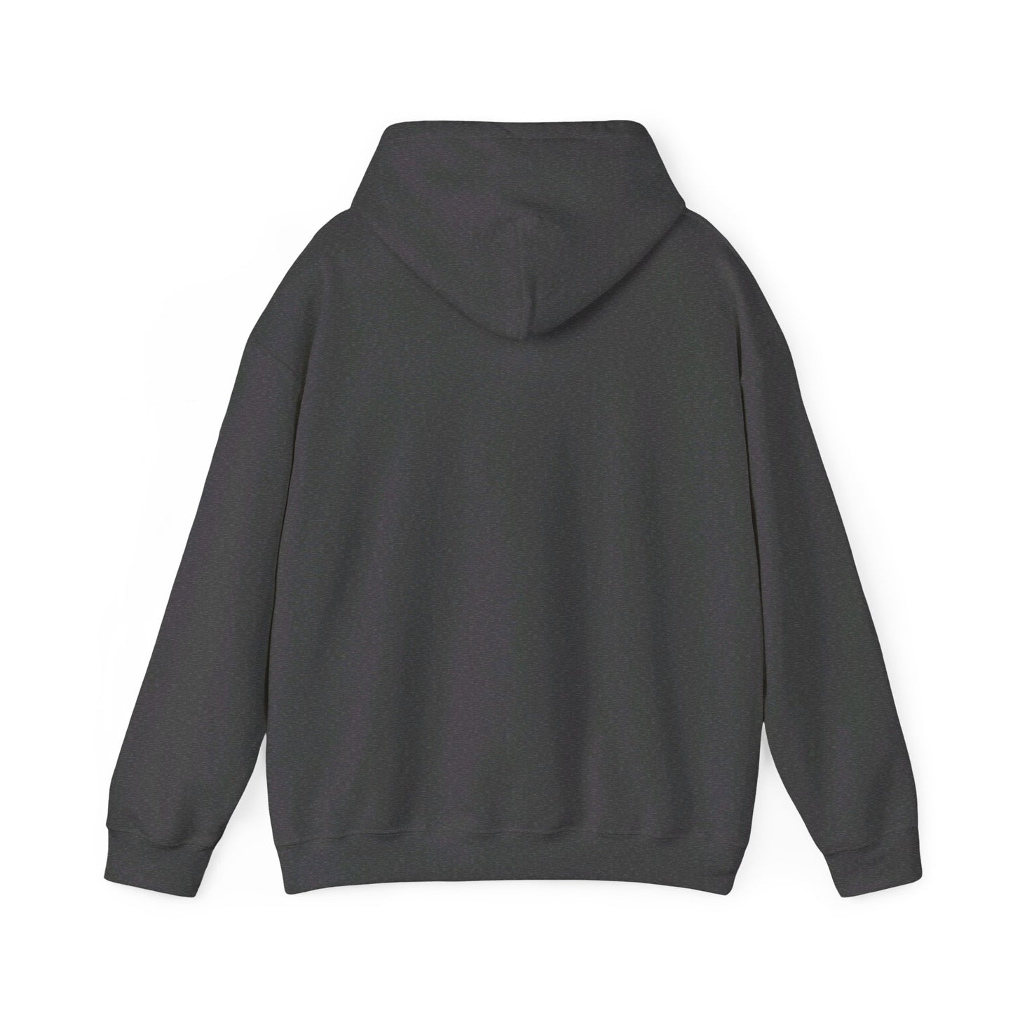 Decolonize - Unisex Heavy Blend™ Hooded Sweatshirt