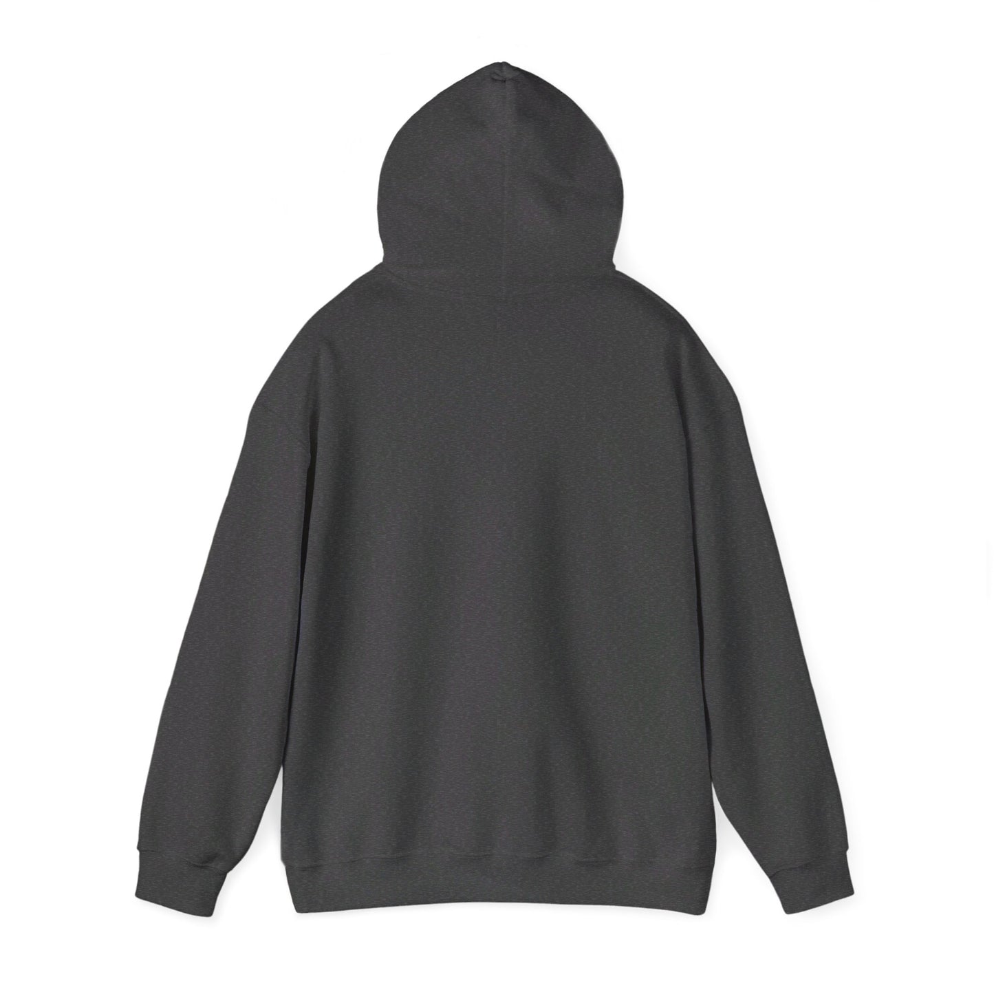 Decolonize - Unisex Heavy Blend™ Hooded Sweatshirt