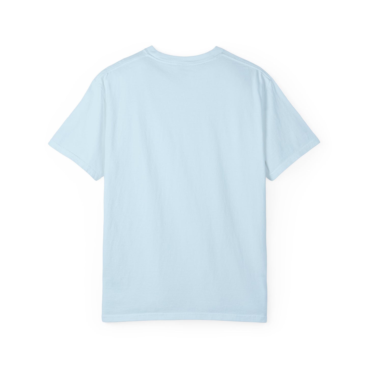 Unisex Garment-Dyed T-Shirt - "Decolonize the Anti-Violence Movement"